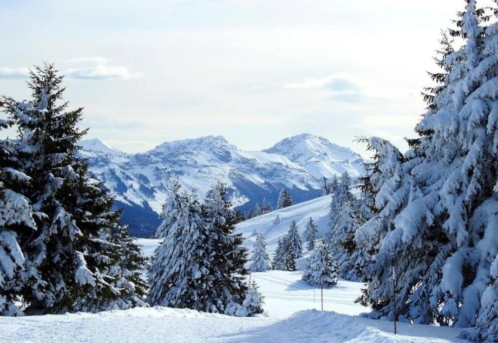 Appartement T2 Vue Panoramique Sur Annecy Seynod Eksteriør bilde